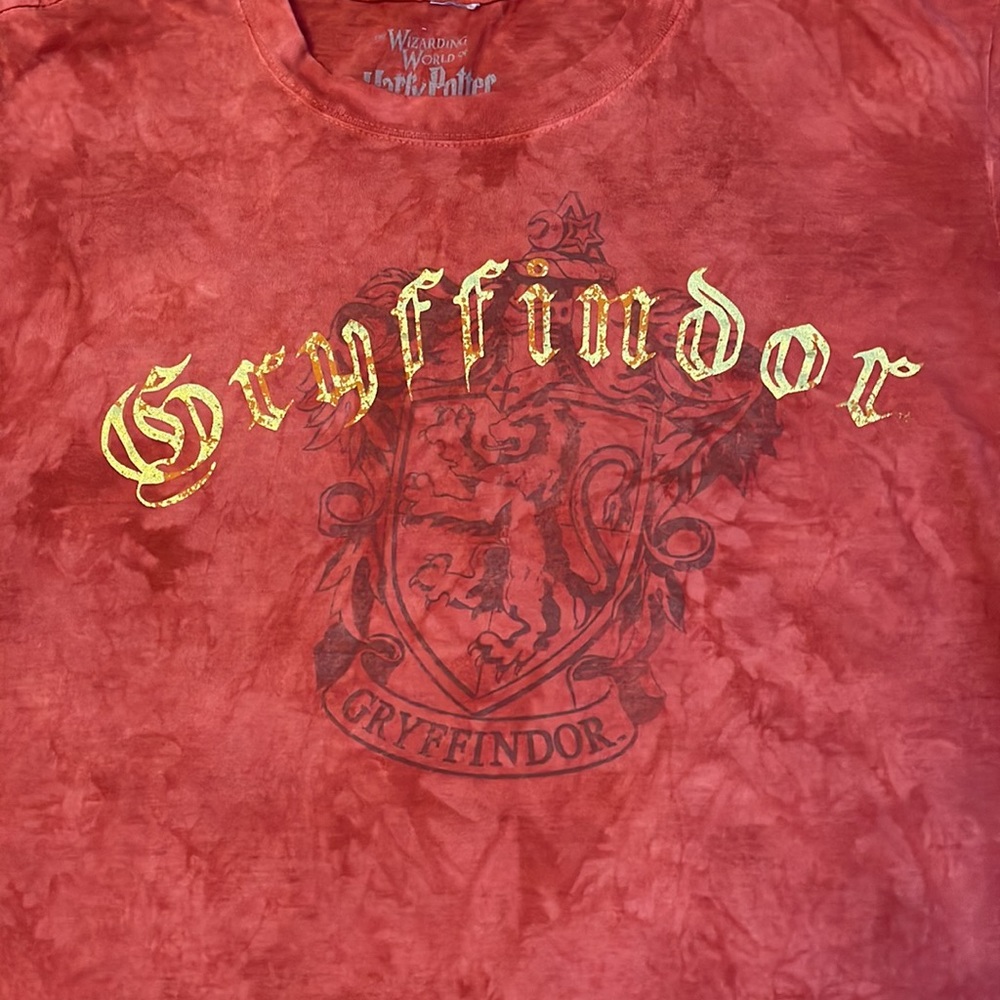 Gryffindor! 🪄🧙‍♂️🦉 - Picture 2 of 4
